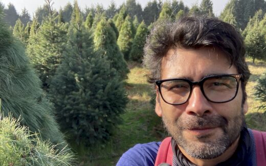 Weihnachtsbaumwald in Amecameca